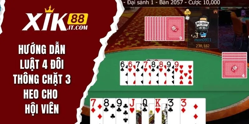 4 đôi thông chặt 3 heo