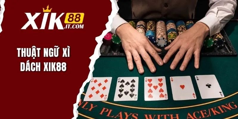 thuật ngữ xì dách
